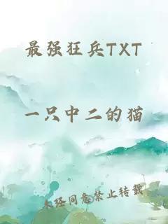 最强狂兵TXT