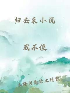归去来小说
