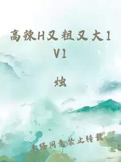 高辣H又粗又大1V1