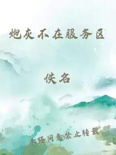 炮灰不在服务区