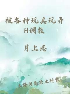 被各种玩具玩弄H调教