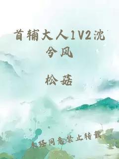 首辅大人1V2沈兮风