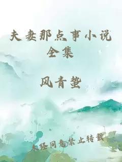夫妻那点事小说全集