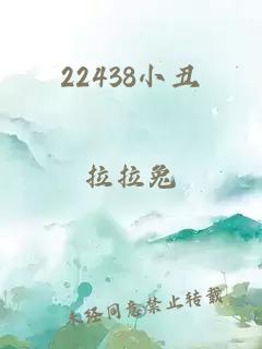 22438小丑
