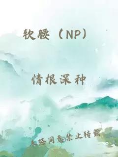 软腰（NP）
